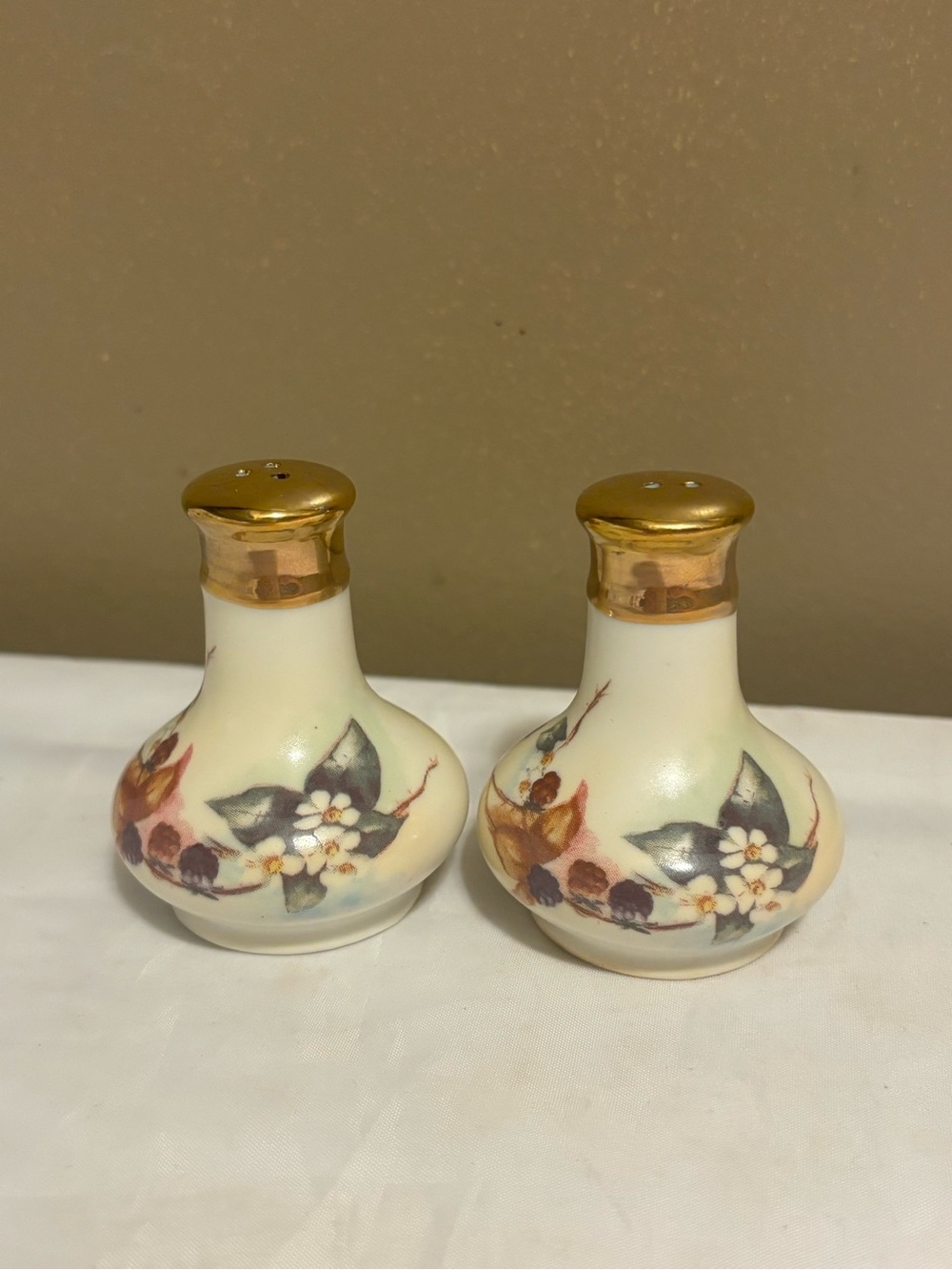 Antique Rs Prussia Floral Porcelain Salt and Pepper Shaker Set - Cream and Gold